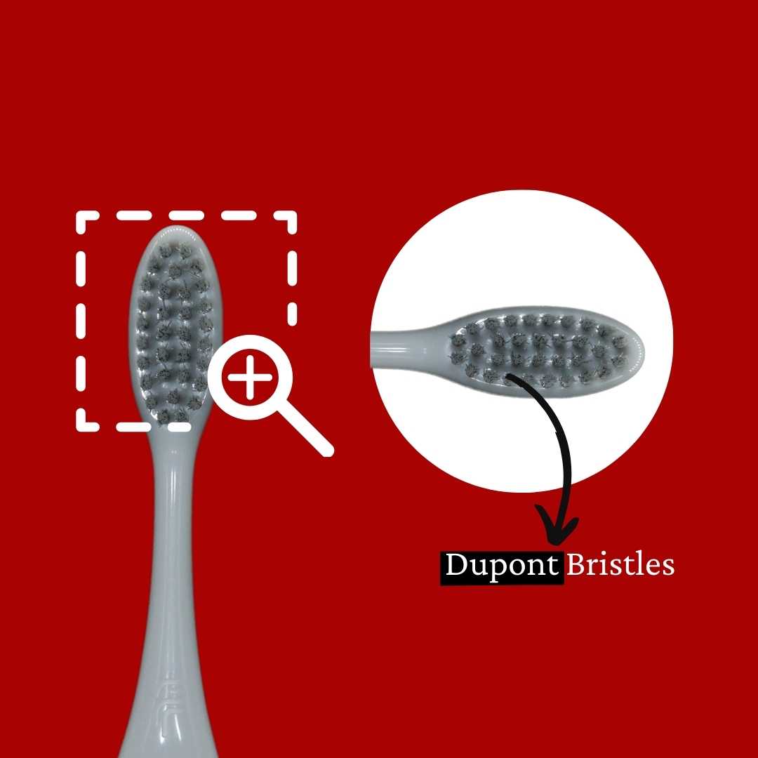 Purexa Electric Toothbrush Heads