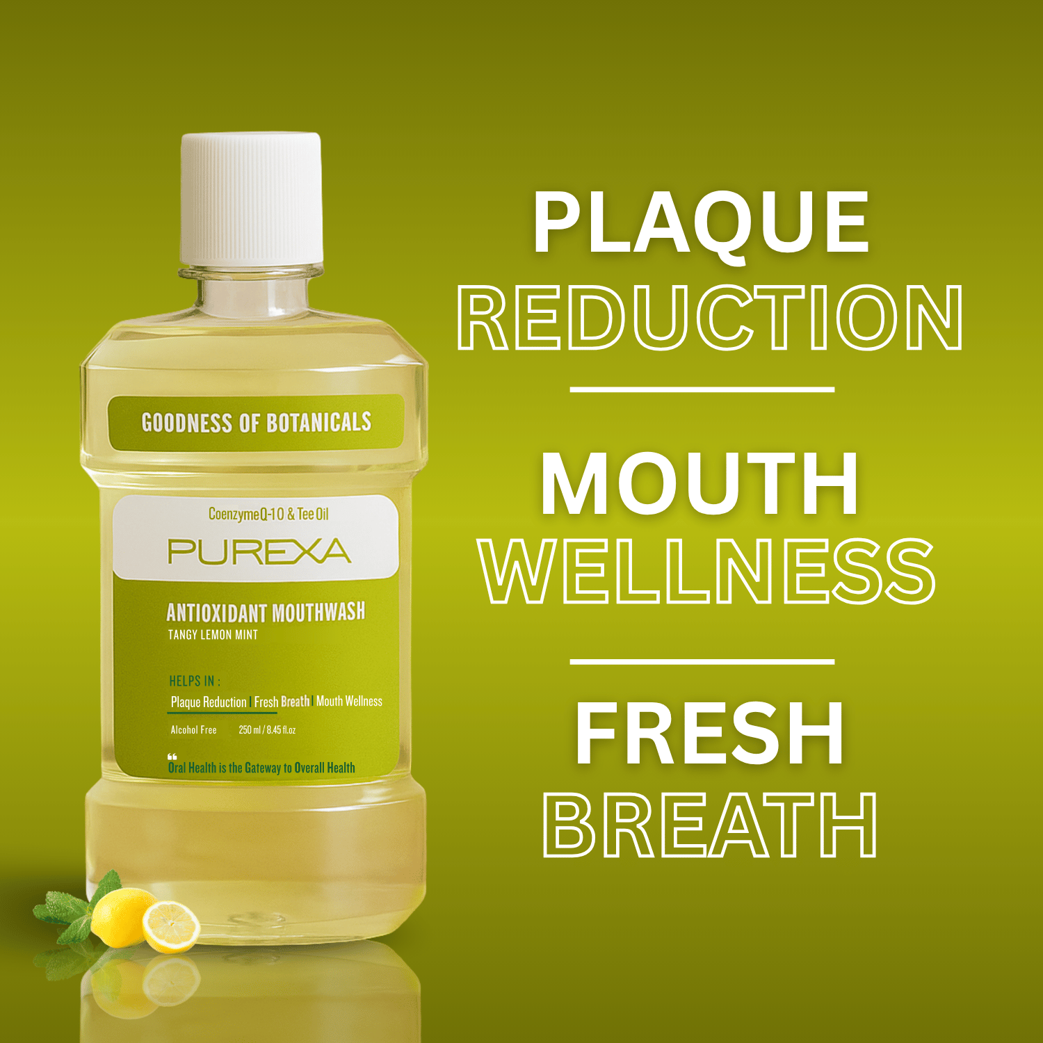 Antioxidant | Antimicrobial & Antibacterial Mouthwash | Lemon Mint Flavour
