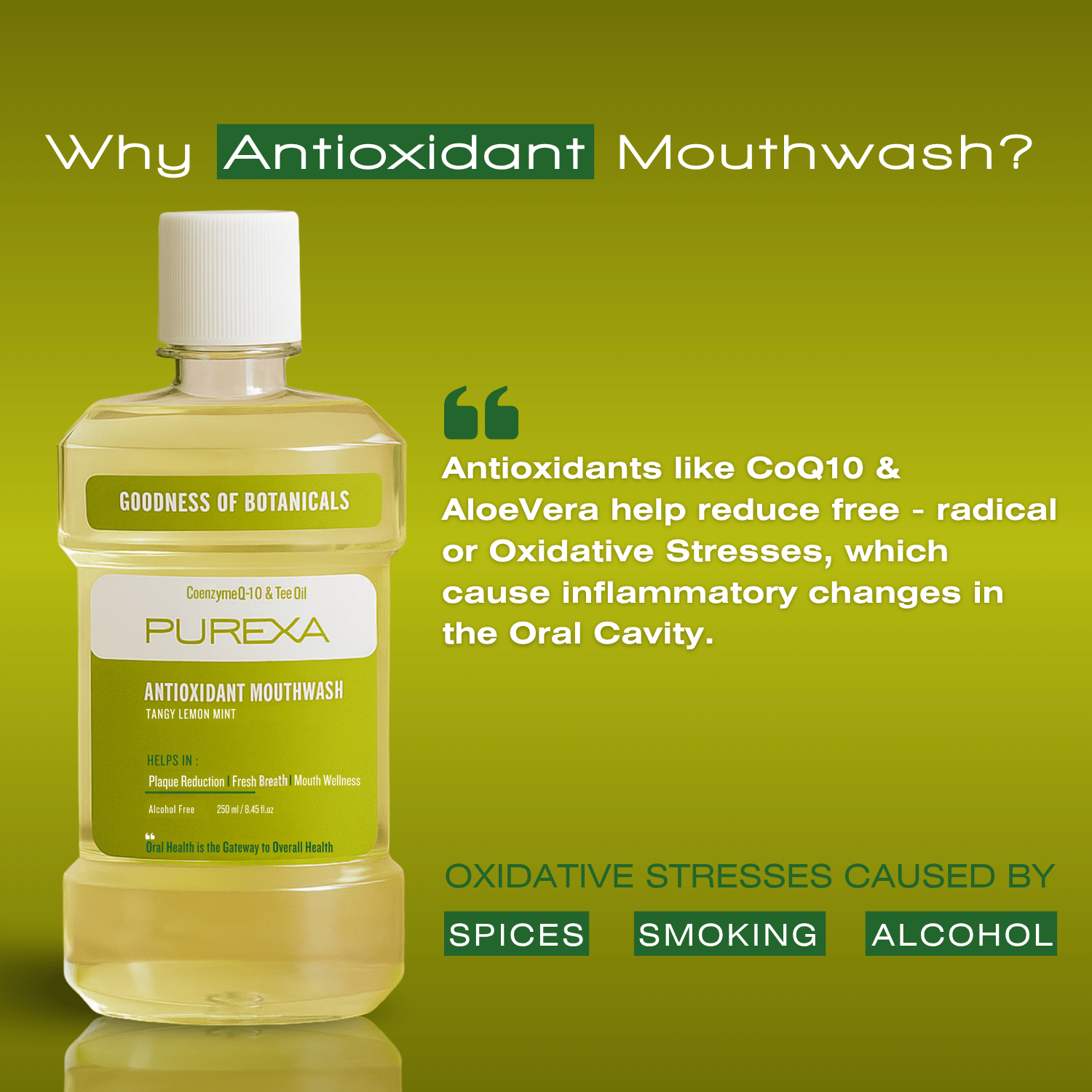 Antioxidant | Antimicrobial & Antibacterial Mouthwash | Lemon Mint Flavour