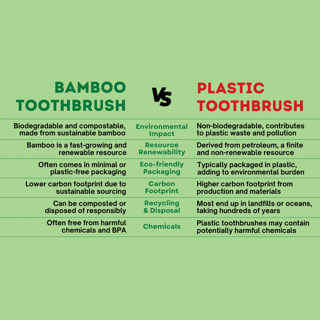 Comparison Between Bamboo Toothbrush vs Plastic Toothbrush