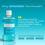 Antioxidant | Antimicrobial & Antibacterial Mouthwash | Fennel Mint Flavour
