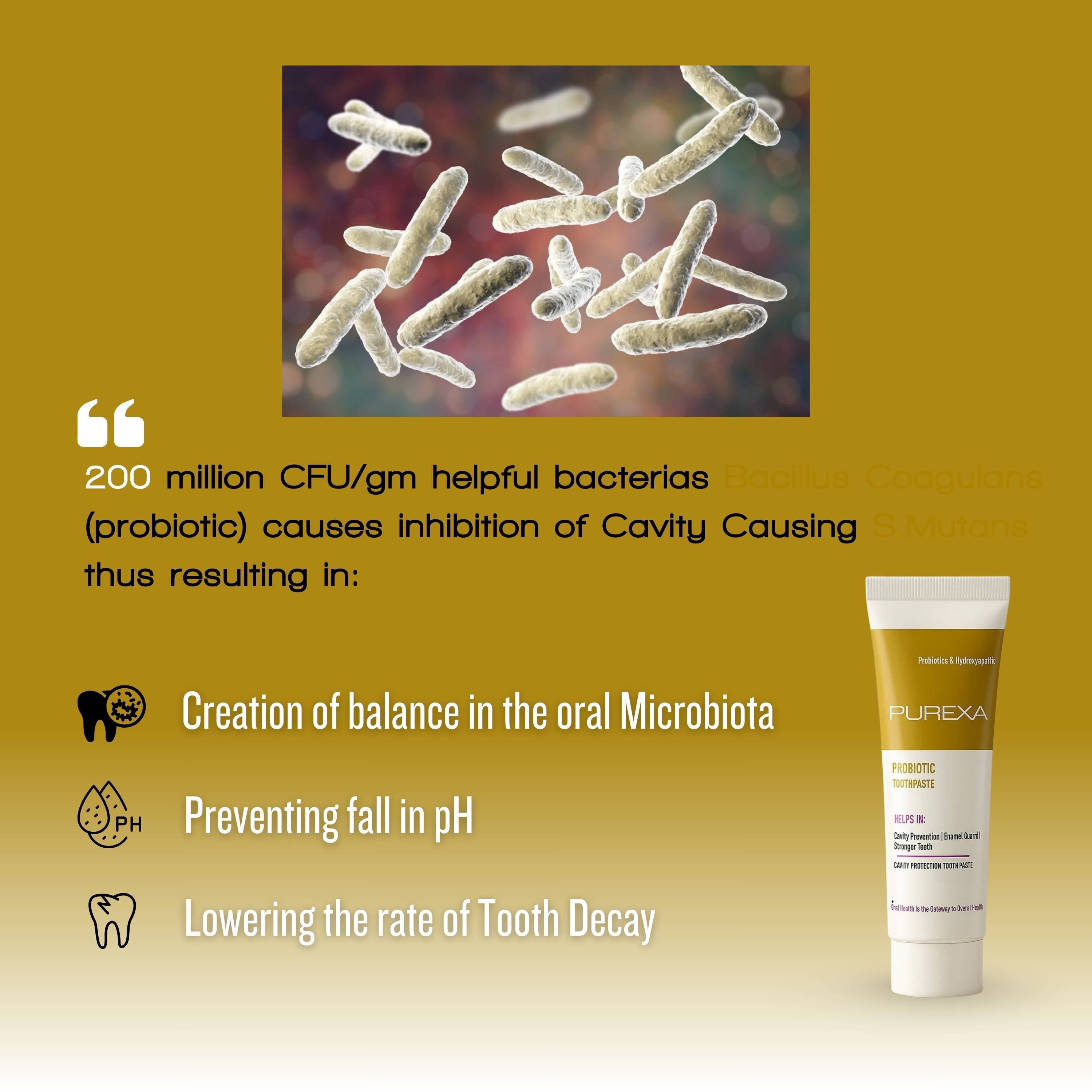 Probiotic Toothpaste 100gm | Anticavity & Fluoride Toothpaste